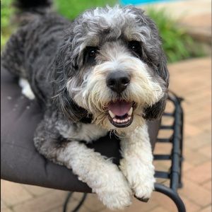 Meet your Posher, Madison